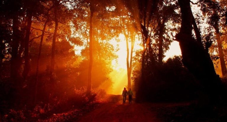 Kodachadri Trek – A Trek where Beauty and History blends together