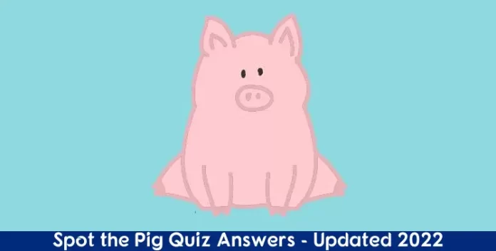 Spot the Pig Quiz Answers - Updated 2022