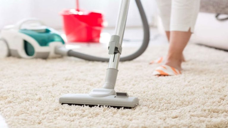 Why Carpet Cleaning Services Are So Different