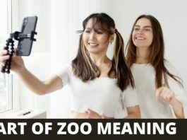 What Does Art of the zoo?
