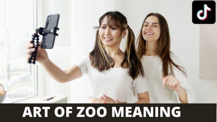 What Does Art of the zoo?