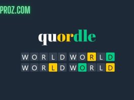 What Is Qourdle.com,