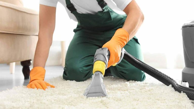 Have You Ever Wondered How Much It Costs to Have Your Carpets Cleaned?