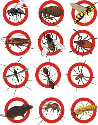 The Essentials of Green Pest Control￼
