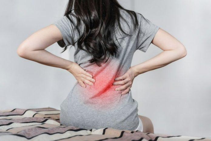 Chronic Back Pain is Caused By The Following 5 Things
