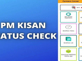 pm kisan status