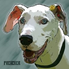 <strong>Layout Stunning Masterpieces by Family Pet Picture Artists</strong>