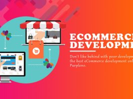 Development Services