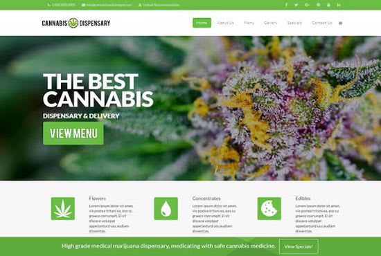 Why Do You Need Professional Custom Web Design?