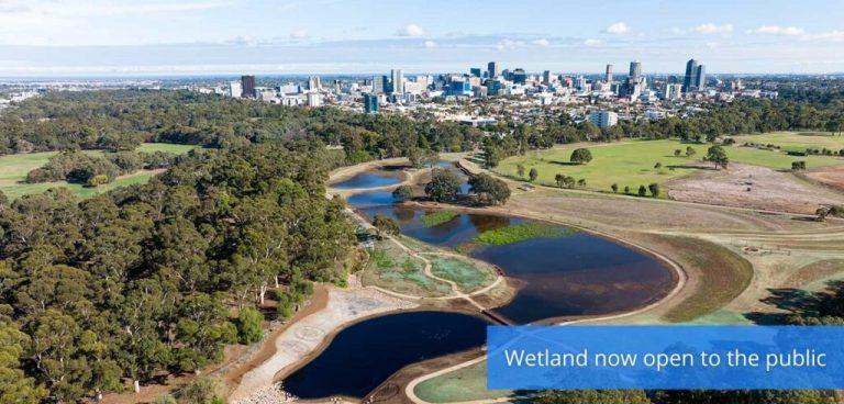 <strong>Comprehensive Guide to Brown Hill Creek</strong>