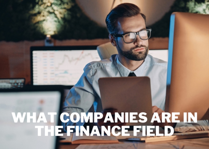 What Companies Are in the Finance Field