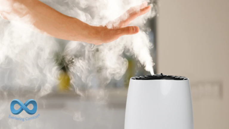 Do You Need a Humidifier Year Round? Find Out Now