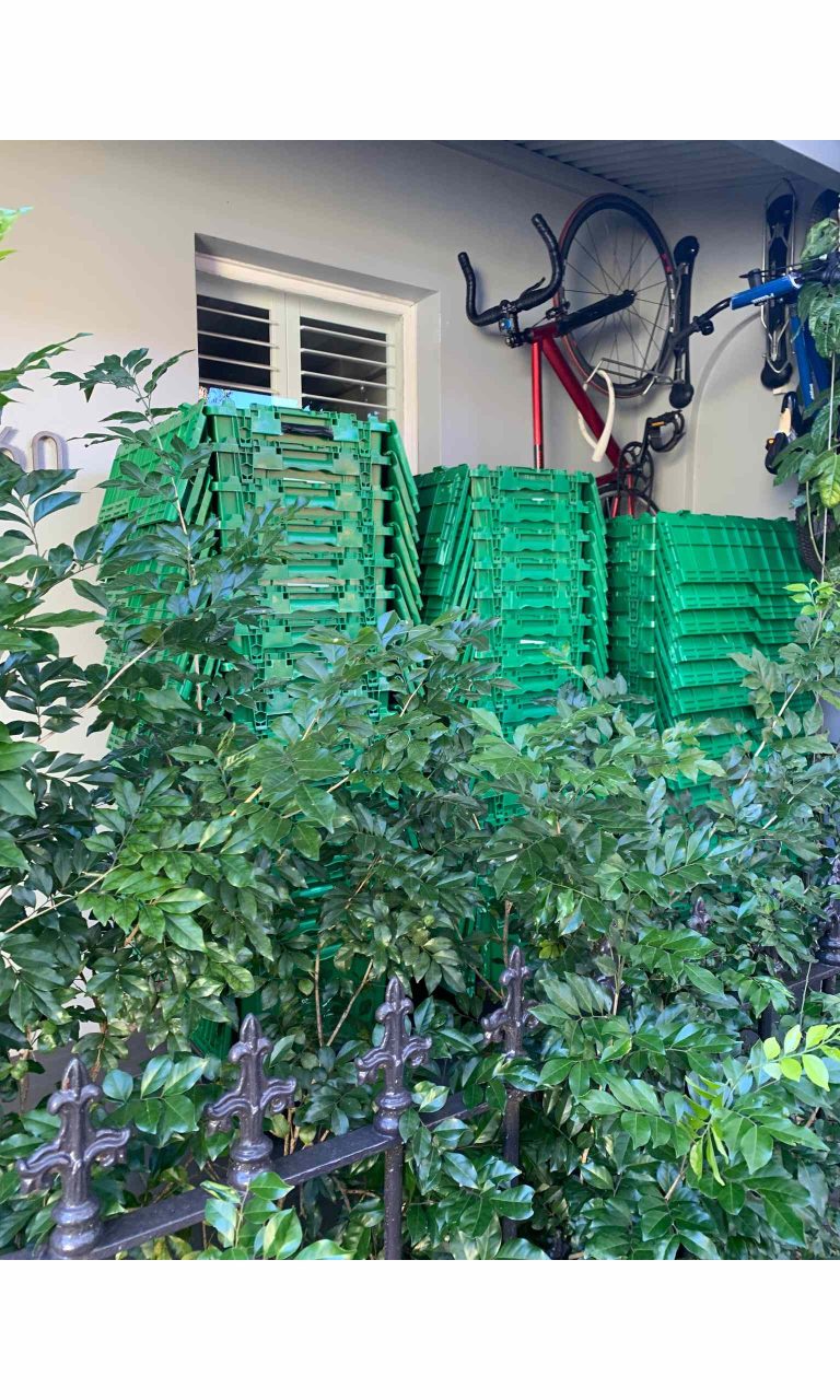 Moving blues with their expert suggestions