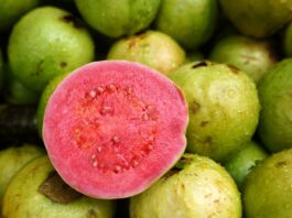 Guava Is Beneficial To Your Health