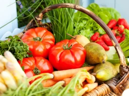 High-nutrient Vegetables