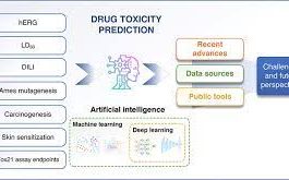 The Potential of AI in Drug Side Effect Prediction