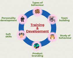 The Benefits of Corporate Training and Development