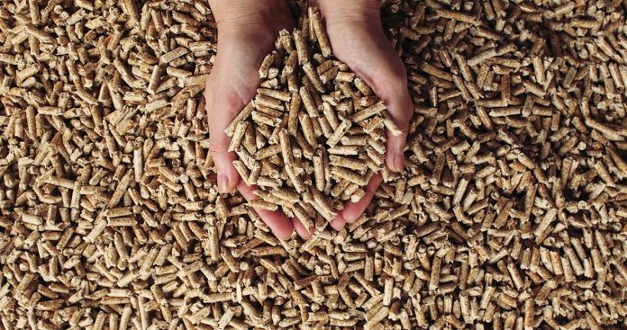 calorific value of pellets