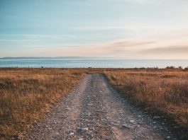 Sell Land Fast in North Carolina