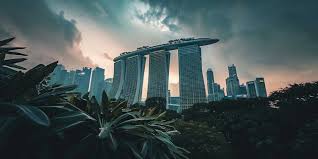 Novo Place EC: How to Apply and What to Expect