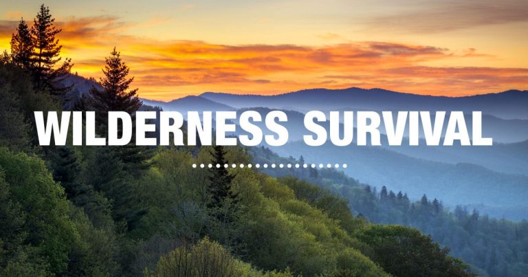 Extreme Wilderness Survival Stories: Beating the Odds in the Wild