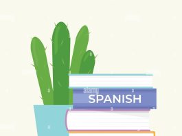 Spanish School in Mexico