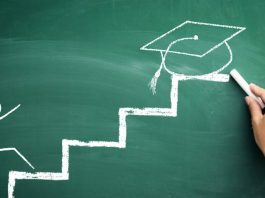 Higher Education