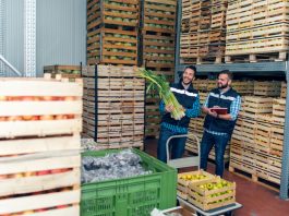 GPO for Cost Optimization in Food & Beverage