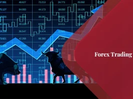 Forex Trading License in Dubai
