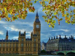 UK Calling: Everything You Need to Know About Student Intakes