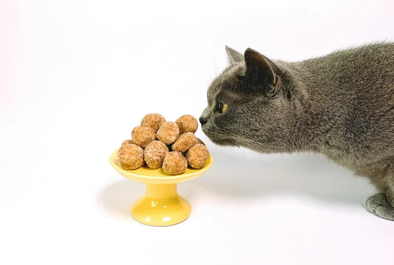 Freeze Dried Cat Treats