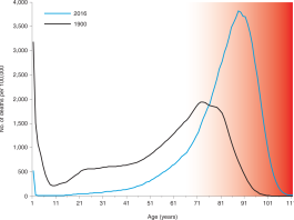 Longevity Cycles