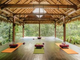 yoga retreats