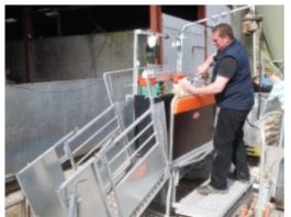 sheep waterers