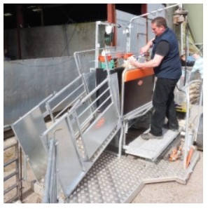 Tired of Frozen Tanks? A Modern Guide to Sheep Waterers and Cattle Mineral Feeders