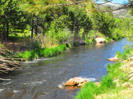 Estes Park lodging