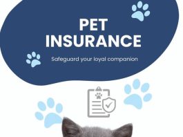 Insurance / Local Business