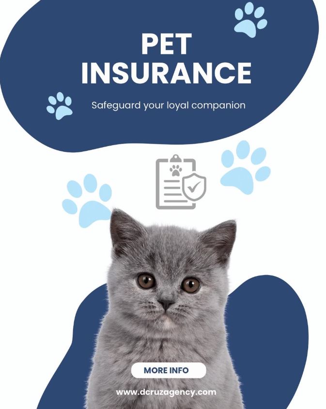 Everything You Need to Know About East Brunswick Business and Home Coverage