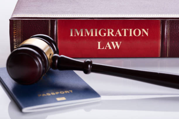 The Role of Legal Briefs in Immigration Court Proceedings