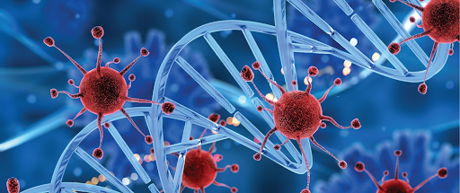 Understanding Blood Cancer Treatment Options: From Chemotherapy to Transplants