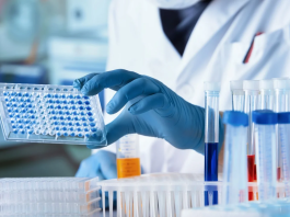 Pharmacokinetics assay