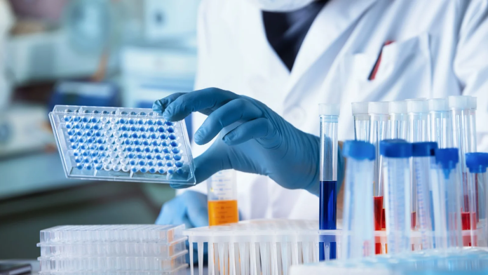 Pharmacokinetics assay